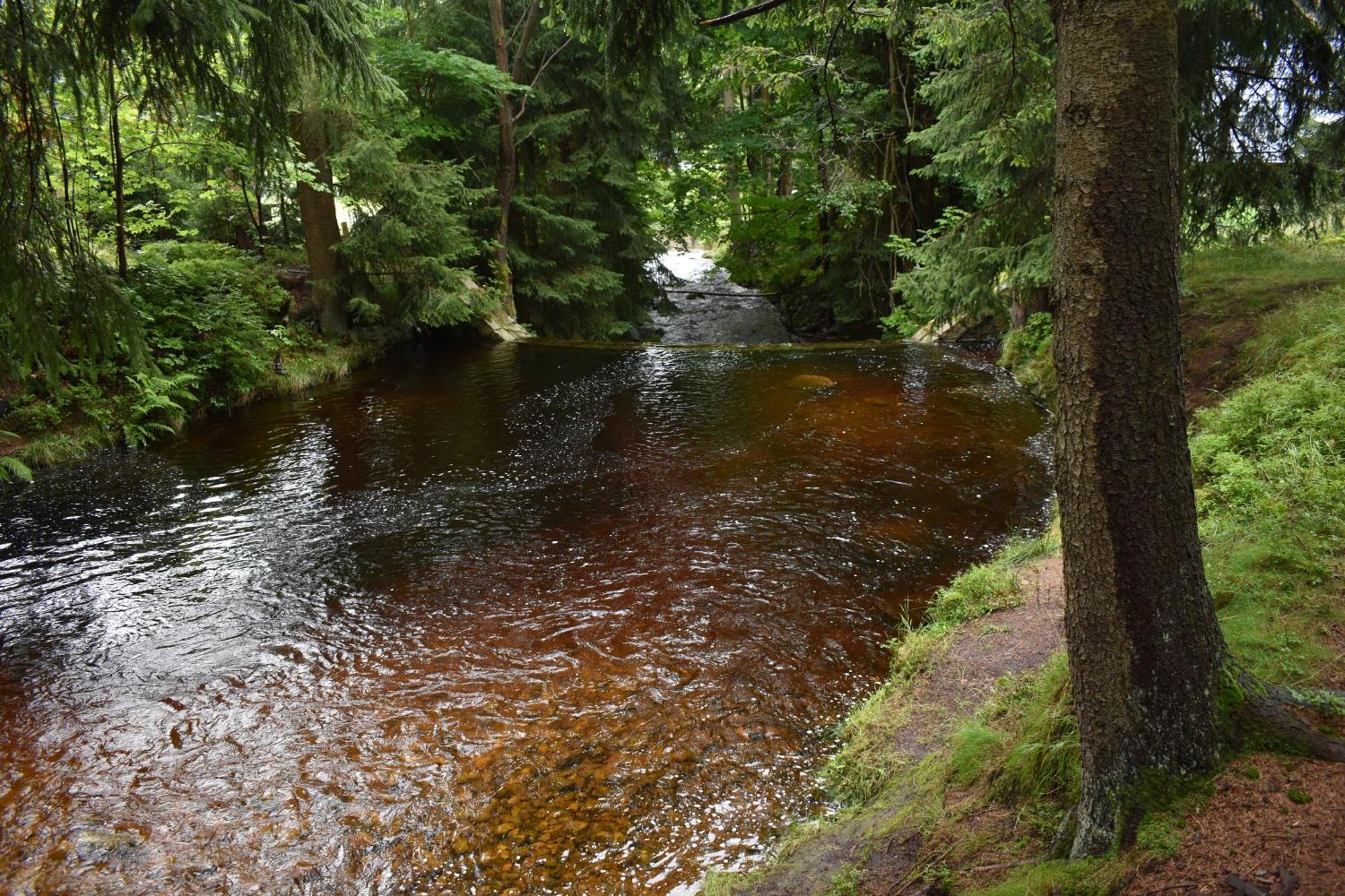 Apartmán Danuška Harrachov Esterno foto